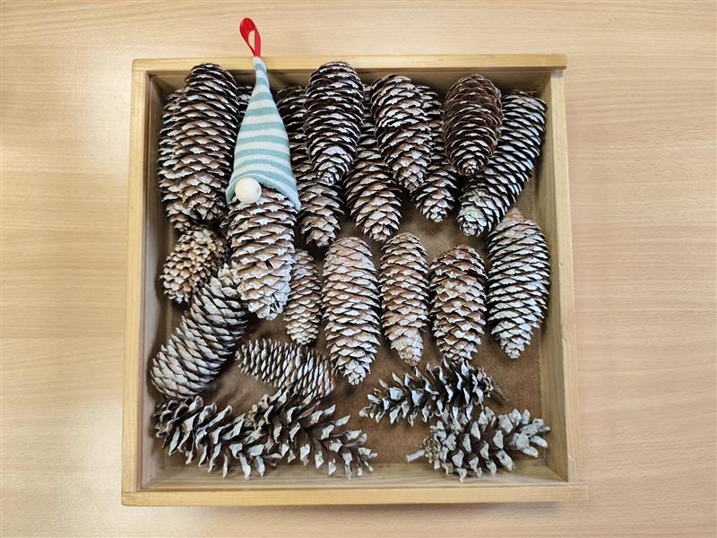 Tvoříme na výstavu