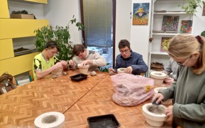 Mezioborová spolupráce