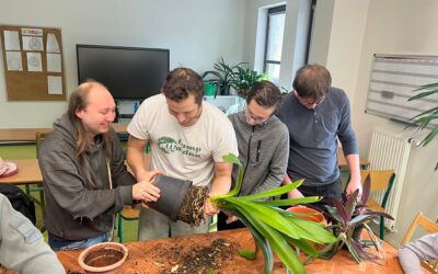 Máme plné ruce práce