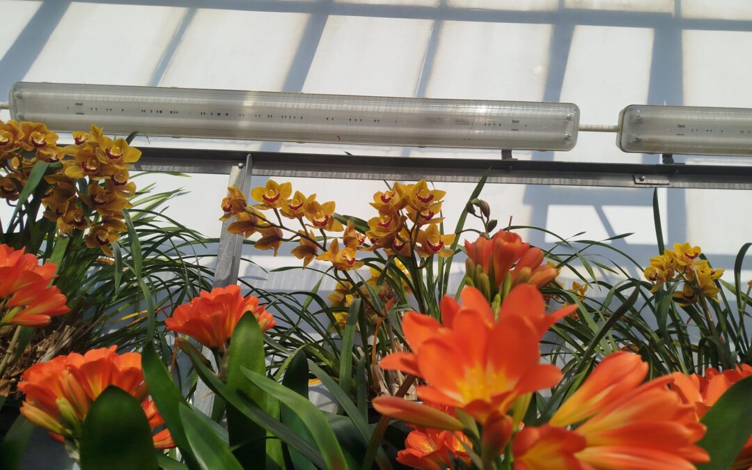 Předjaří – výstava