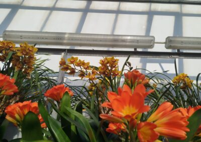 Předjaří – výstava