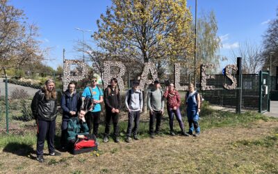 Konečně jaro a práce venku