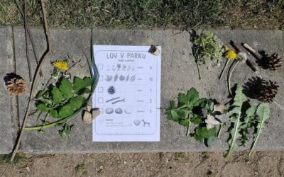 Lov v parku